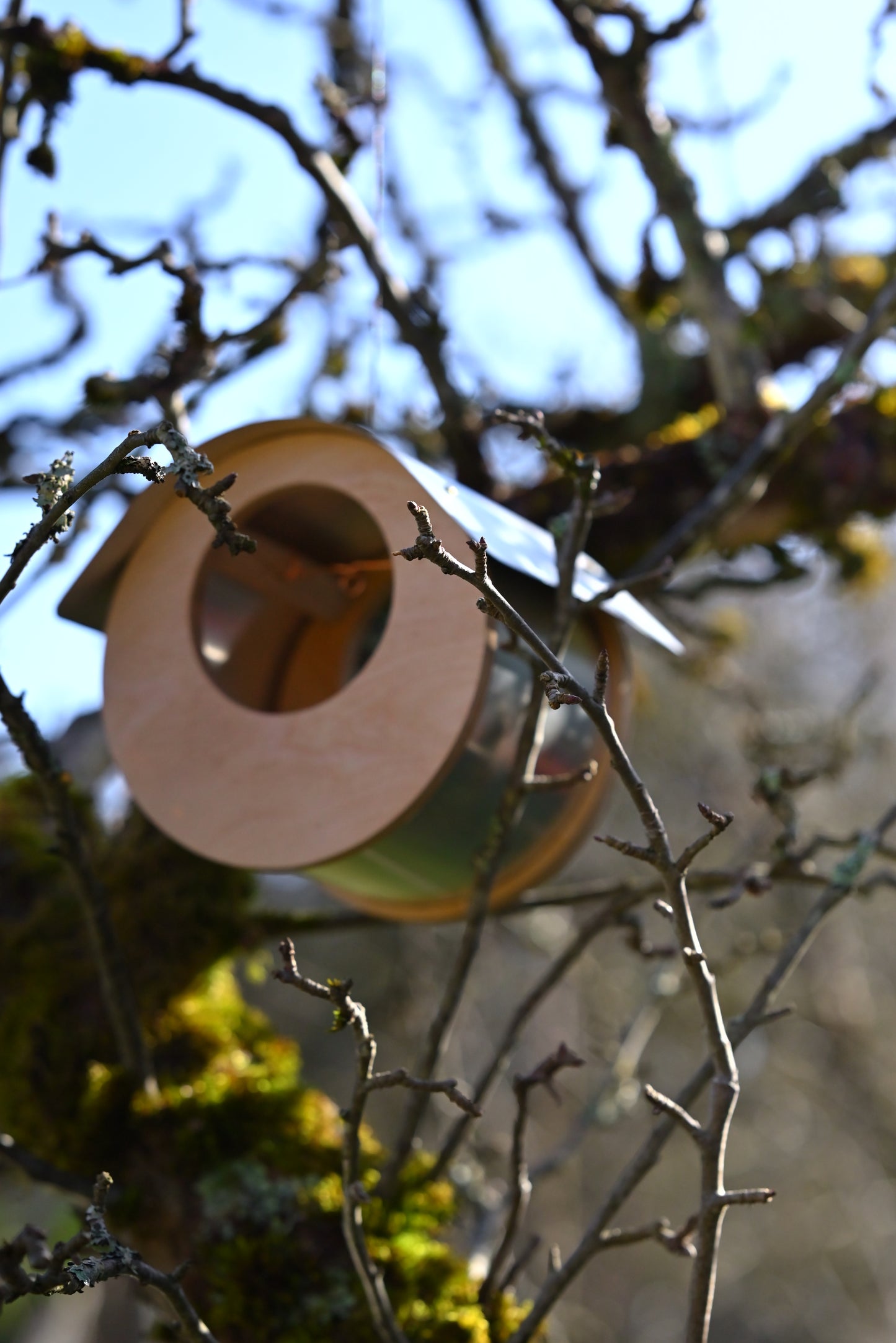 Le Couvert — mangeoire suspendue